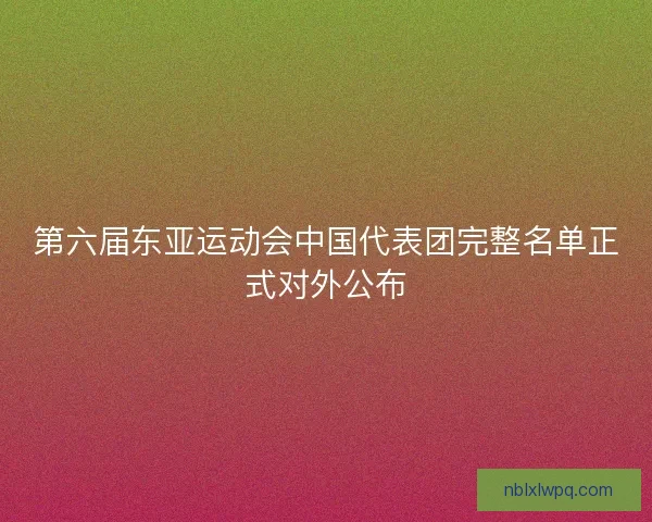 第六届东亚运动会中国代表团完整名单正式对外公布